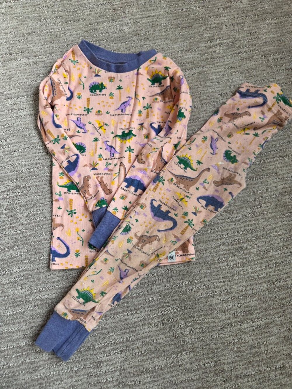 Girls dinosaur pajamas size 5T